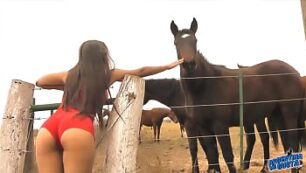 HORSE FUCK